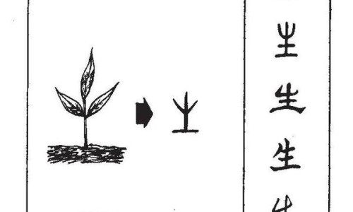 鲨鱼软骨的禁忌网—知名的鲨鱼软骨的禁忌有哪些网站,分享鲨鱼软骨尽量少吃知识