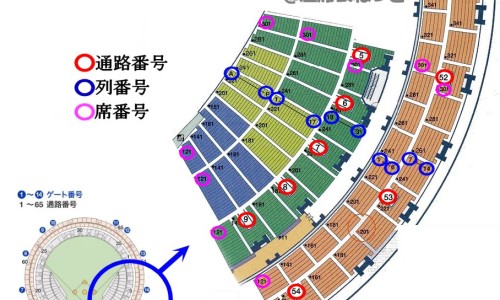 鲨鱼软骨是哪个部位-鲨鱼软骨的禁忌网—知名的鲨鱼软骨的禁忌有哪些网站,分享鲨鱼软骨尽量少吃知识